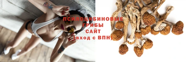 сатива Алзамай