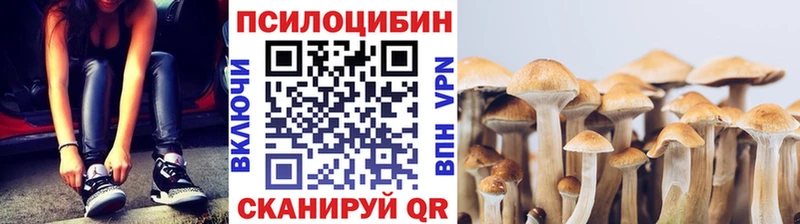 Псилоцибиновые грибы прущие грибы  сайты даркнета телеграм  Любим 